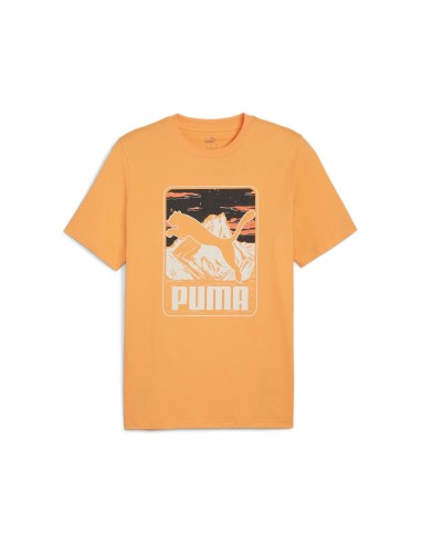 Camiseta Puma Graphics Mountain Naranja