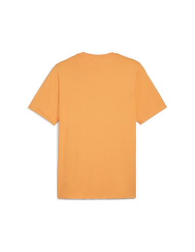 Camiseta Puma Graphics Mountain Naranja