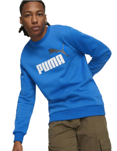 Sudadera Ess+ Azul Puma Junior Azul