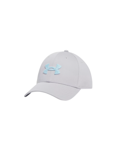 Gorra Under Armour Blitzing Gris