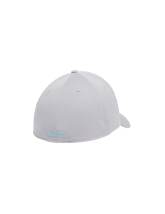Gorra Under Armour Blitzing Gris 2