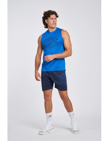 Camiseta Pro Training Active Vestregal Umbro Hombre Azul