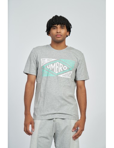 camiseta umbro hombre origins gris