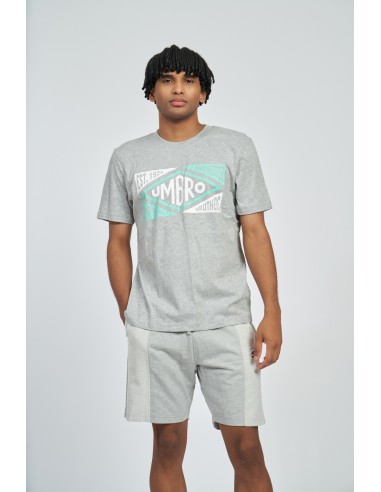 camiseta umbro hombre origins gris