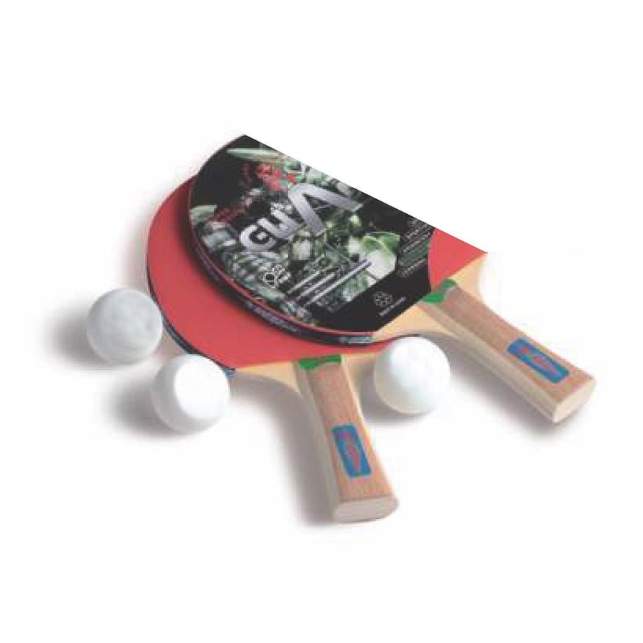 Juego Ping-Pong 2 palas **