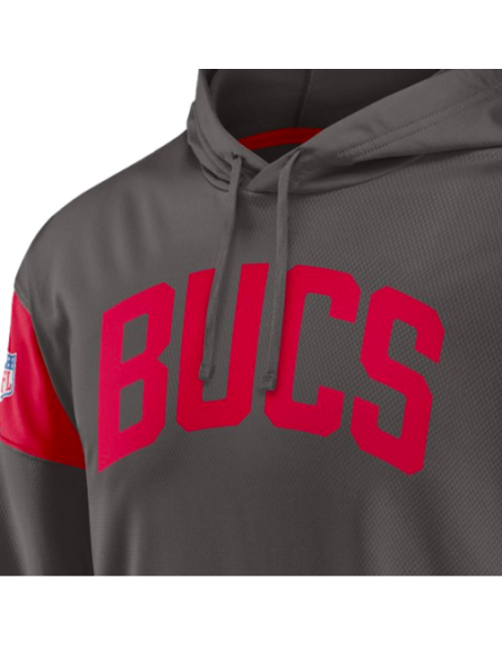 Sudadera Nike Tampa Bay Buccaneers Gris