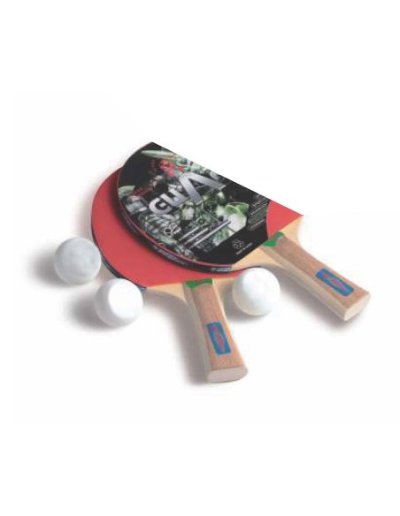 Juego Ping-Pong 2 palas **