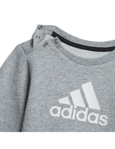 Chándal Bos Adidas Junior Gris