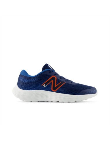 Zapatilla New Balance Mujer 520V8 Marino