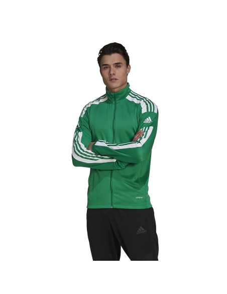 Chaqueta Adidas Squadra Verde